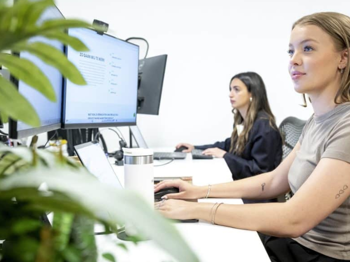 Online marketing voor stukadoors