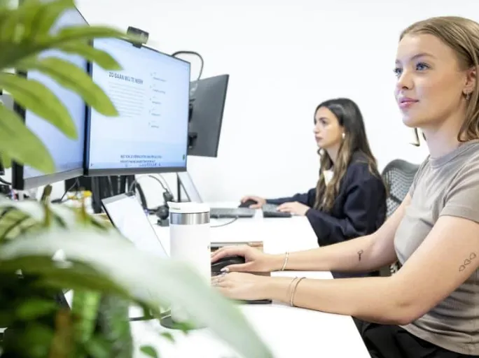 Online marketing voor stukadoors