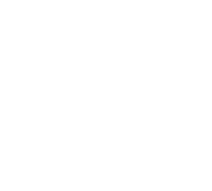 Logo 247 Spice