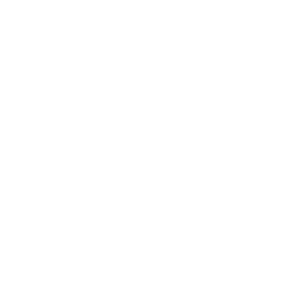 Logo Perplexity