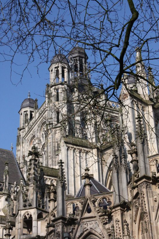 SEO-bureau-Den-Bosch