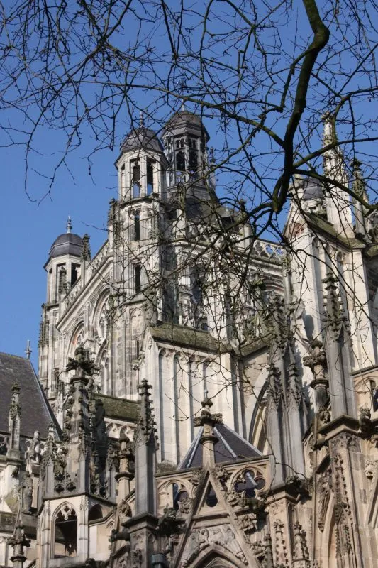 SEO-bureau-Den-Bosch