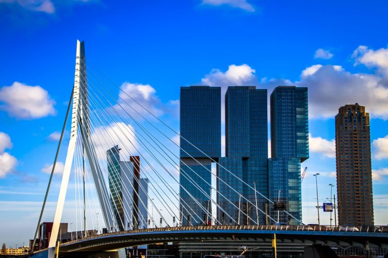 SEO-bureau-Rotterdam