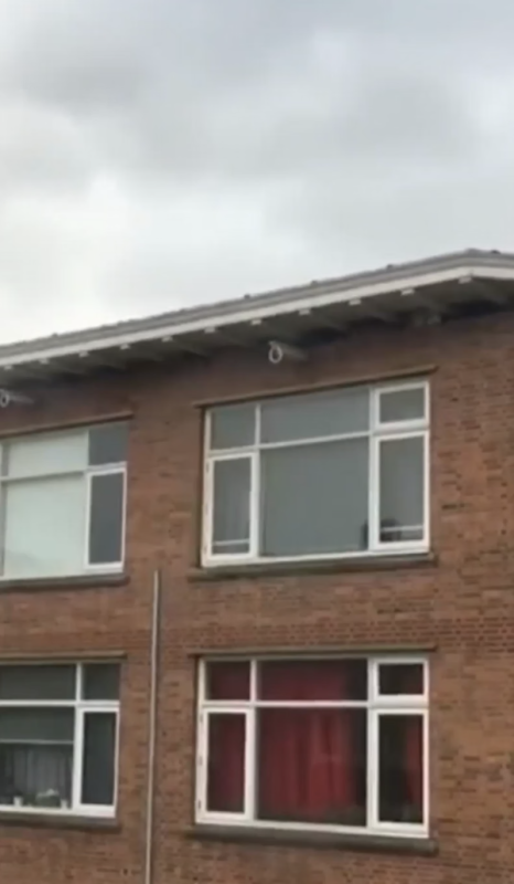 Externdak