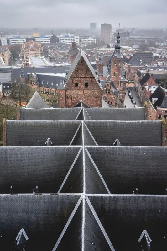 Online marketing bureau Groningen