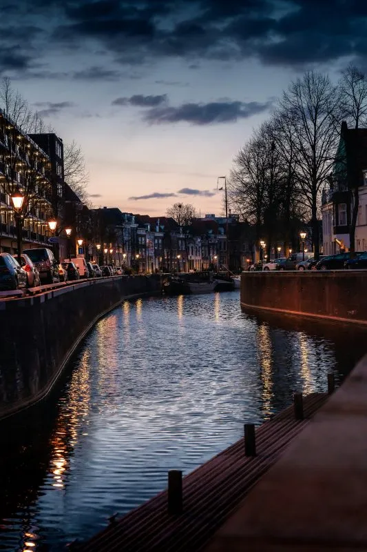 Online marketing bureau Den Bosch
