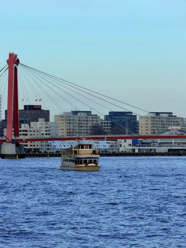 Online marketing bureau Rotterdam