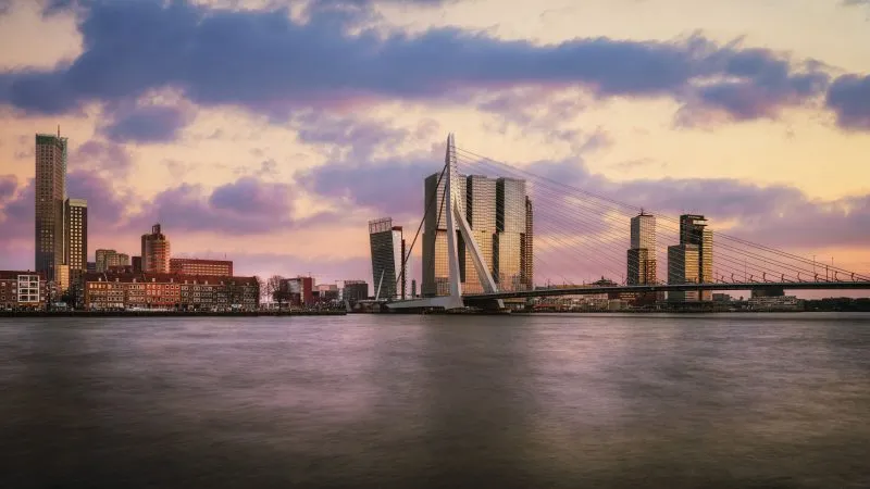 Google Ads bureau Rotterdam
